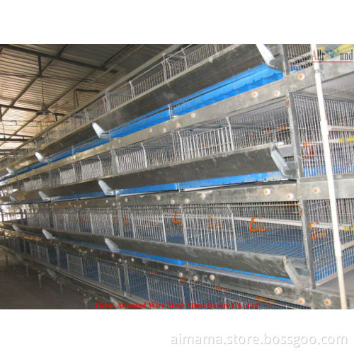 New Design Pullet Cage